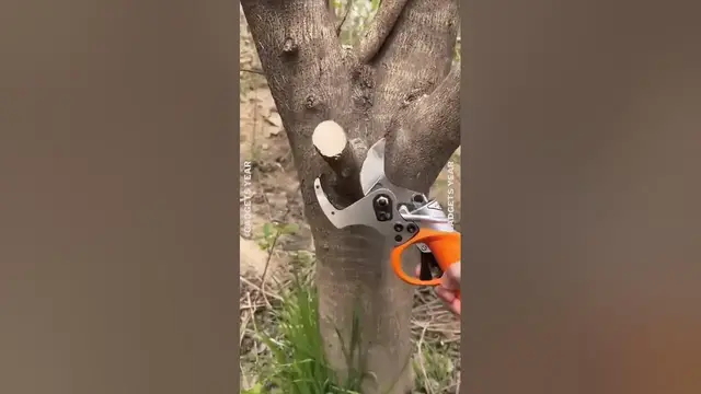 Video thumbnail for Product Link in Bio ✅ | Electric Branch Cutter Scissors | #viral