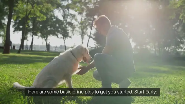 Video thumbnail for Puppy Training Basics