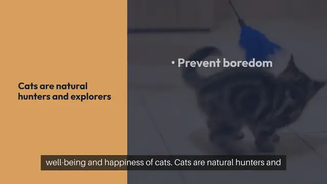 Video thumbnail for Cat Mental Stimulation Activities