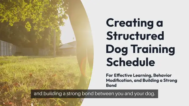 Video thumbnail for Dog Training Schedules