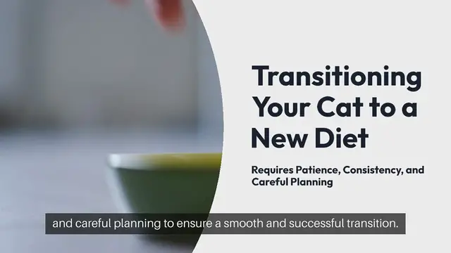 Video thumbnail for Cat Nutrition Transition Tips
