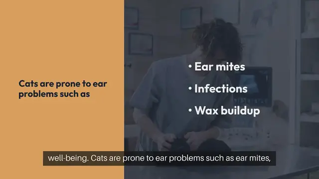 Video thumbnail for Cat Ear Care Techniques