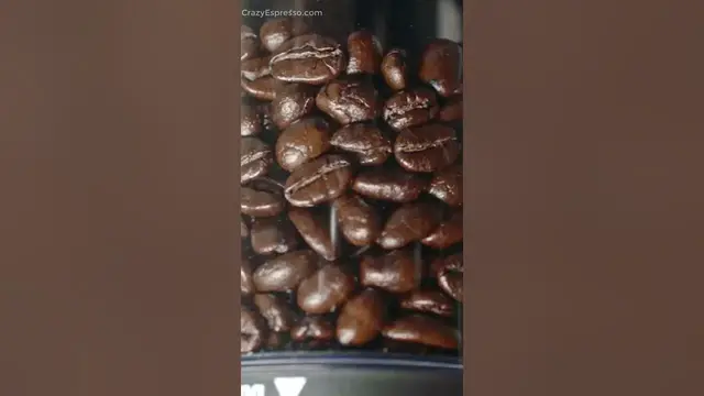 Video thumbnail for Cuisinart Single Serve Coffee Maker