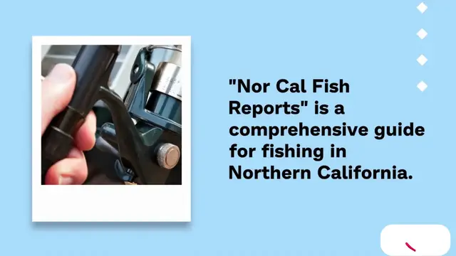 Video thumbnail for Nor Cal Fish Reports
