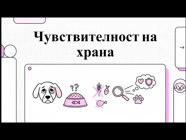 Video thumbnail for Алергии и интолеранција на храна кај кучињата