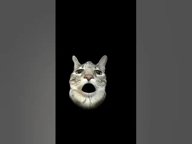 Video thumbnail for 20 June 2026