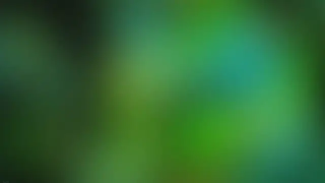 Video thumbnail for TOPDON TC004 Thermal Imaging Camera: In Review