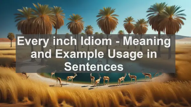 Video thumbnail for "Every inch" Idiom: Meaning and Usage in Sentences