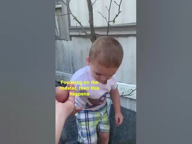 Video thumbnail for He just loves to help gather eggs!  #FreeRangeEggs #Toddler #FarmHand #GatheringEggs #Group7
