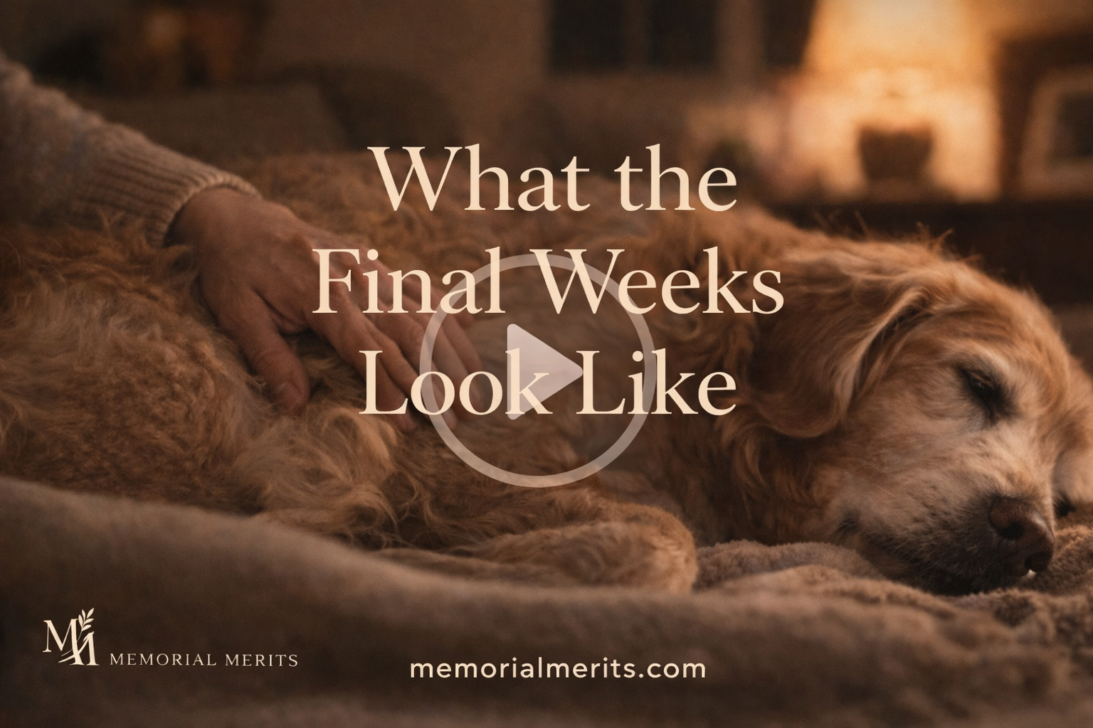 Video thumbnail for Pet Hospice at Home: What the Final Weeks Actually Look Like