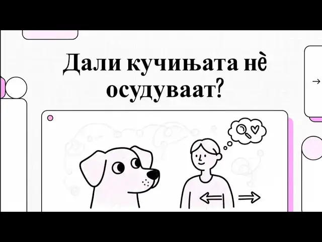 Video thumbnail for Дали нашите кучиња не осудуваат?