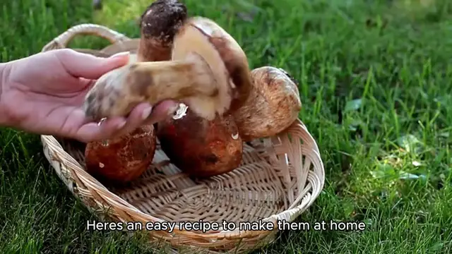 Video thumbnail for stuffed mushroom recipe