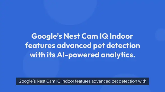 Video thumbnail for Best Home Security Cameras With Pet Detection