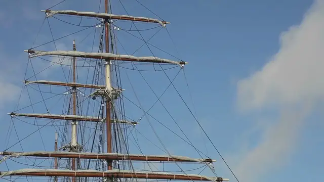 Video thumbnail for 190+ Nomi Vikingo Belli e Forti per Cani | Pet Yolo