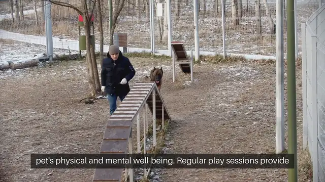 'Video thumbnail for Pet Playtime Importance'