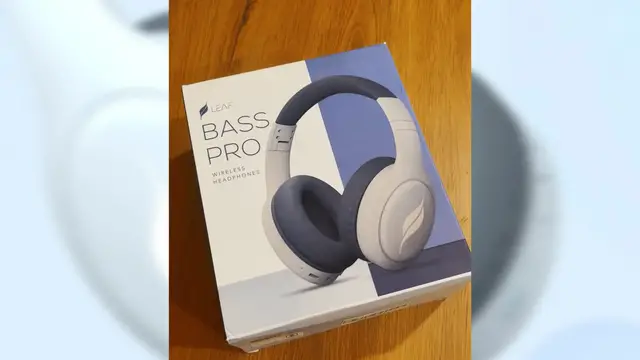 'Video thumbnail for Leaf Bass Pro Review'