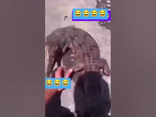 Video thumbnail for 🤣😂#trending #foryou #shortfeeds #funny #naphhenry #comedy #world #funny #funnyshorts #fyp #funny