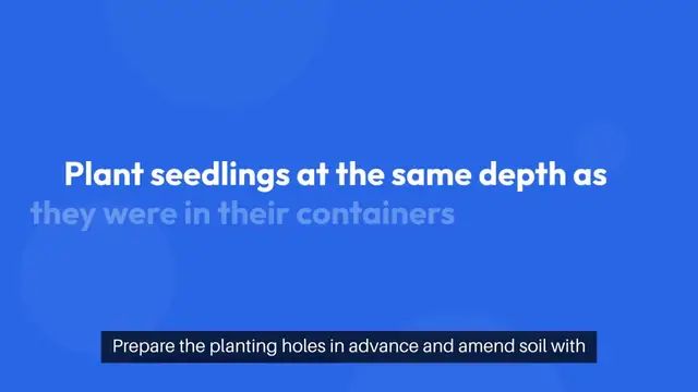 'Video thumbnail for Transplanting Tips and Tricks Revealed'