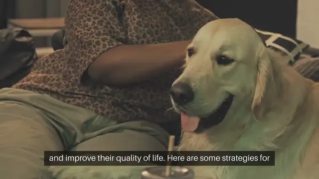 Video thumbnail for Pet Arthritis Management