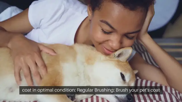 Video thumbnail for Pet Skin Care Tips