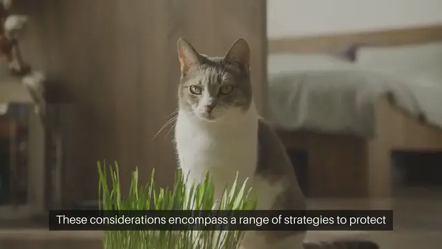 Video thumbnail for Pet Security Considerations