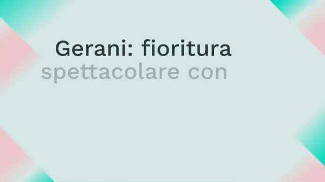 Video thumbnail for Gerani: fioritura spettacolare con questo semplice metodo! Il risultato è pazzesco