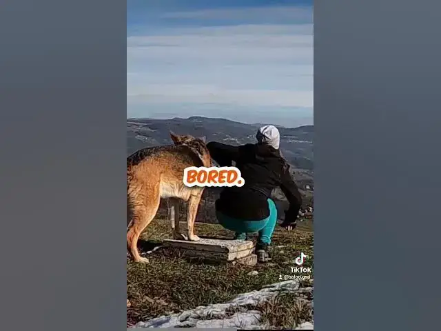 Video thumbnail for 4 august 2024