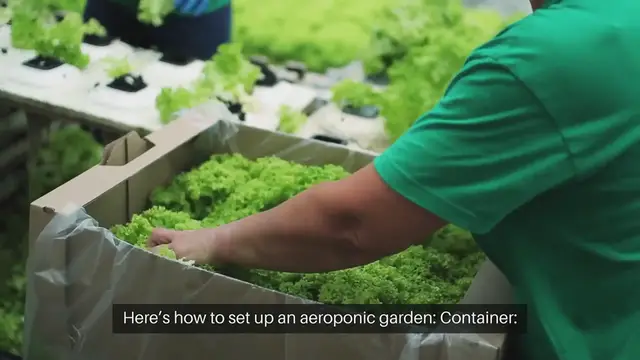 Video thumbnail for Aeroponic Gardening Setup