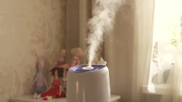Video thumbnail for Is It Safe to Put Vinegar in a Humidifier?