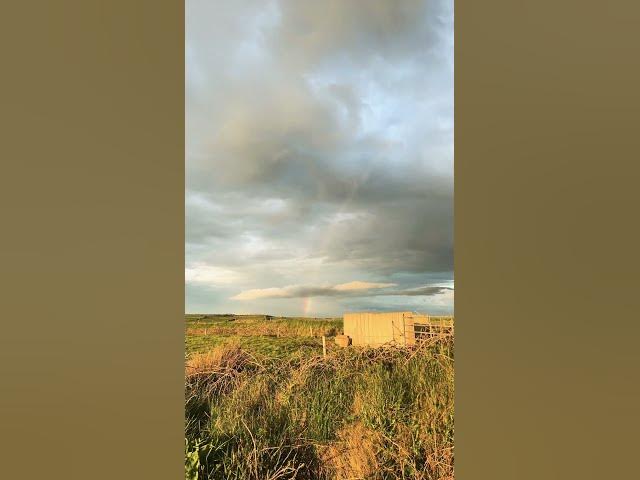 Video thumbnail for Rainbow 🌈