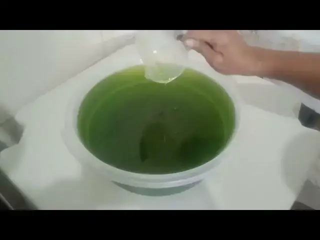 Video thumbnail for Detergente de Limão da Salete