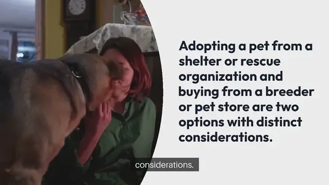 Video thumbnail for Adopting vs Buying A Pet