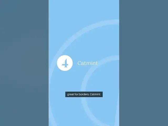 Video thumbnail for Summer Bloom Bonanza 6 Perennials s #GardenInspiration #GardeningTips #EndlessBlooms #GardeningLife