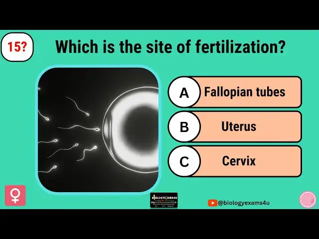 Video thumbnail for Quiz on Female Reproductive System || 25 Multiple Choice Questions and answers