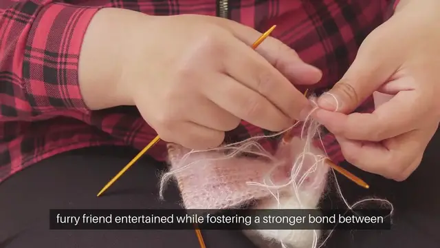 Video thumbnail for DIY Pet Toys