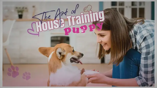 Video thumbnail for The Art of House Training a Puppy