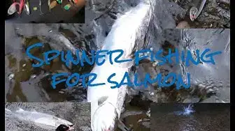 Video thumbnail for HOW-TO fish SPINNERS for Salmon - ULTIMATE Guide