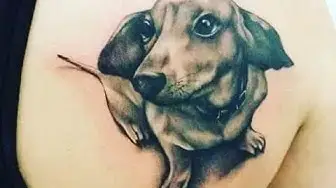 Video thumbnail for 111 Best Dachshund Tattoo Ideas That Will Blow Your Mind!