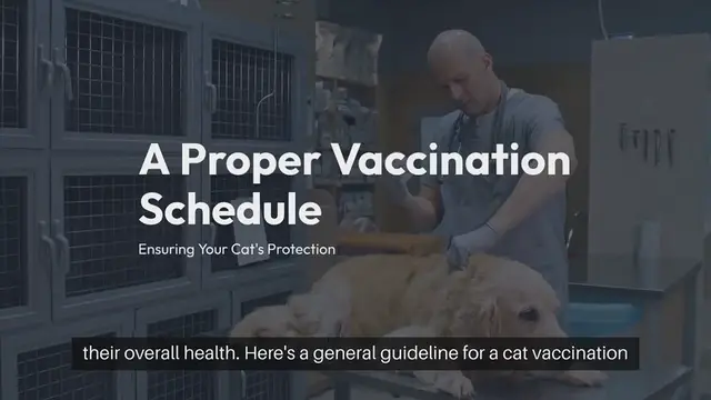 Video thumbnail for Cat Vaccination Schedule