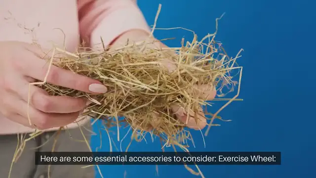 Video thumbnail for Gerbil Cage Accessories