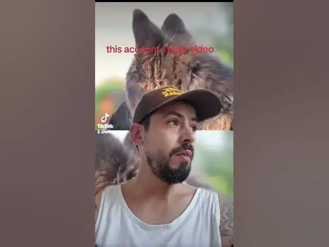 Video thumbnail for 4 august 2024