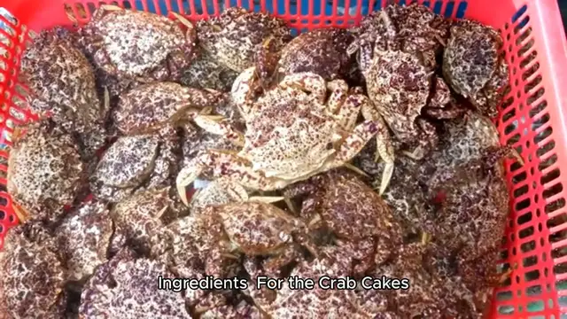 Video thumbnail for maryland crab cake recipe