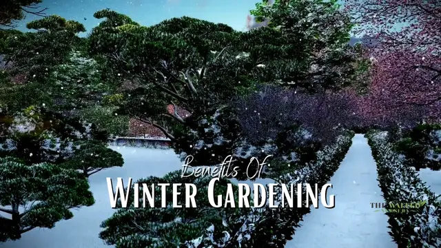 'Video thumbnail for Benefits Of Winter Gardening'