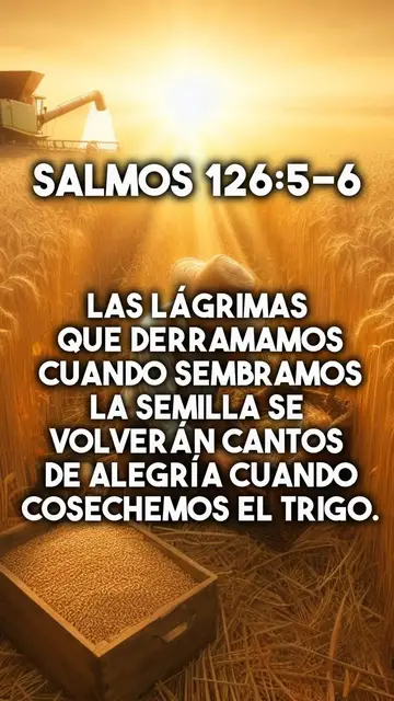 Video thumbnail for Versículos de la Biblia que transformarán tu vida. #PalabraDelSeñor #Devocional