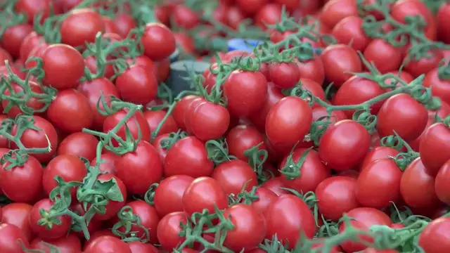 Video thumbnail for Authentic Nigerian Stew Recipe: A Flavorful Journey Through West African Cuisine