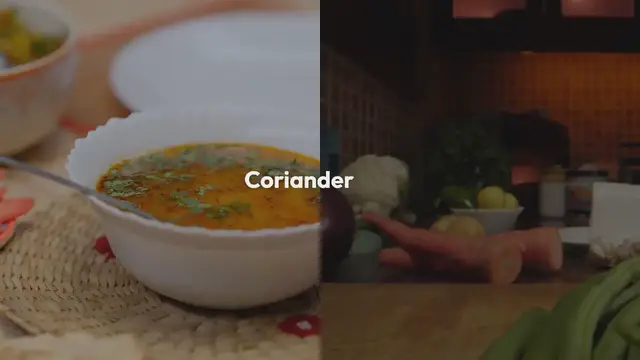 Video thumbnail for Global Vegan Cuisine: Explore Vegan Recipes From Different Cultures, Such As Indian Curry, Mexican Tacos, Or Japanese Sushi