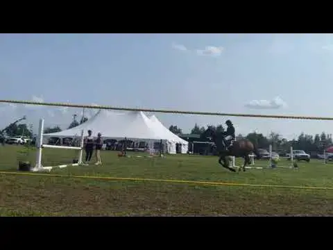 'Video thumbnail for Fail after completing competition.'