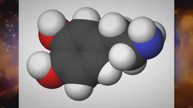 Video thumbnail for Understanding the Role of Dopamine in Motivation and Goal Setting