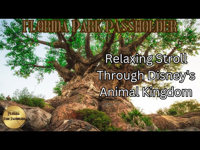 Video thumbnail for Relaxing Stroll through Disney's Animal Kingdom