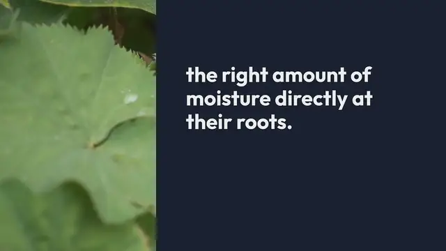 Video thumbnail for Beginners Guide to Drip Irrigation Systems